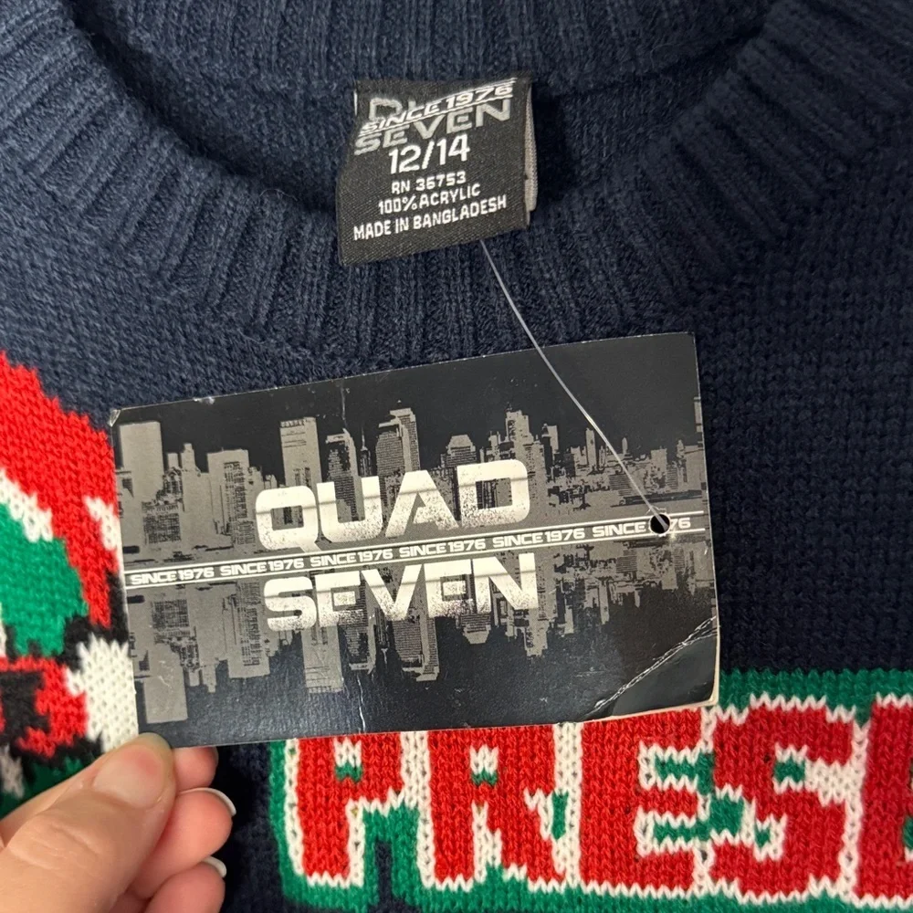 NWT Kids Dinosaur Holiday Sweater